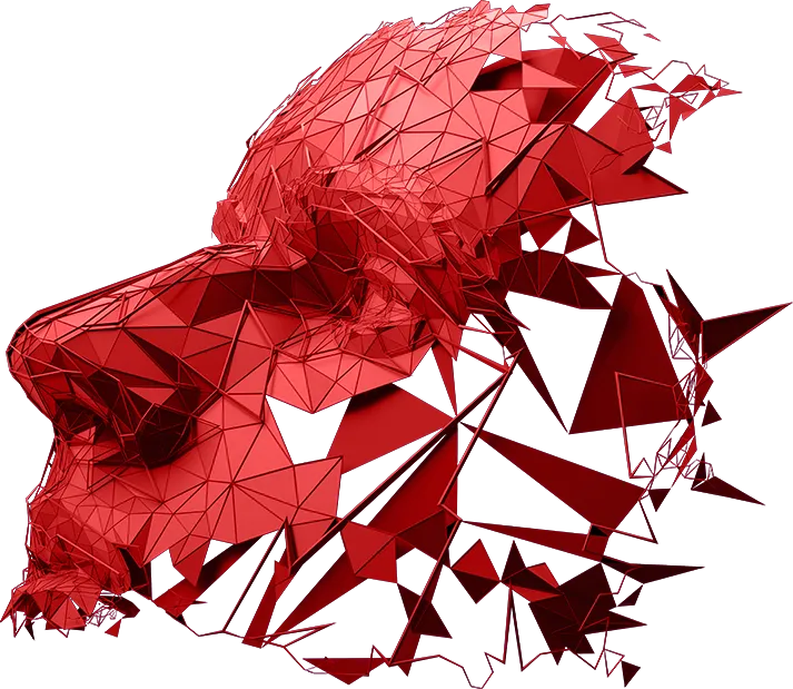 Website Design Example