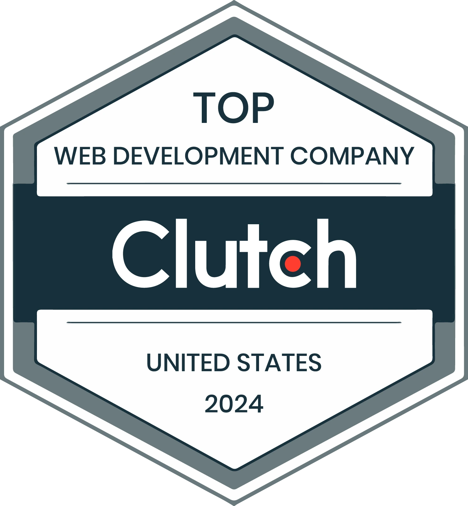 Top Web Development Company